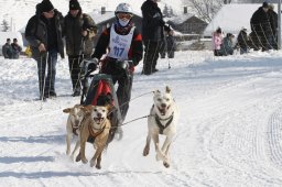 Lenk 2012 SM